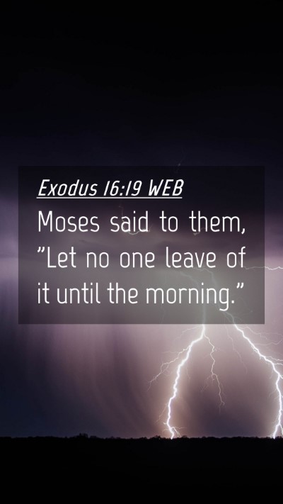 Picture 04 - Exodus 16:19 WEB Mobile Phone Wallpaper - Moses said to them, 