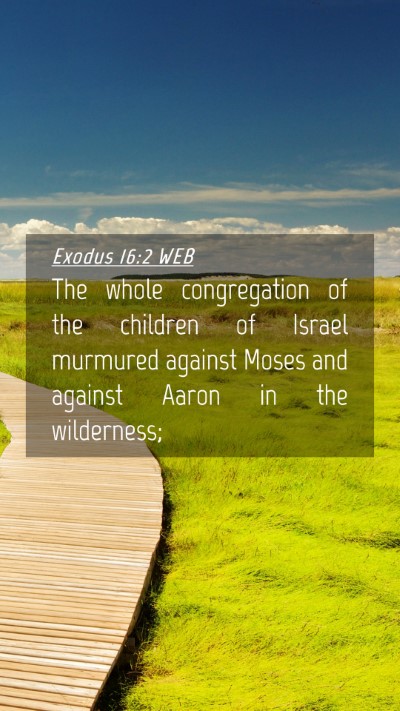Picture 04 - Exodus 16:2 WEB Mobile Phone Wallpaper - The whole congregation of the children of Israel - Mobile Bible Verse Wallpaper