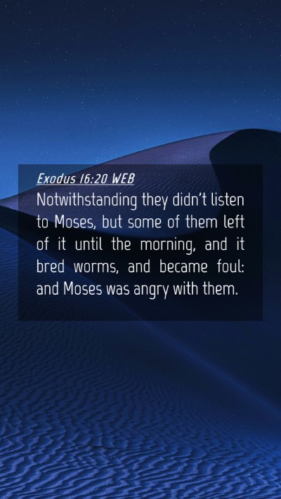 Picture 04 - Exodus 16:20 WEB Mobile Phone Wallpaper - Notwithstanding they didn't listen to Moses, but - Mobile Bible Verse Wallpaper