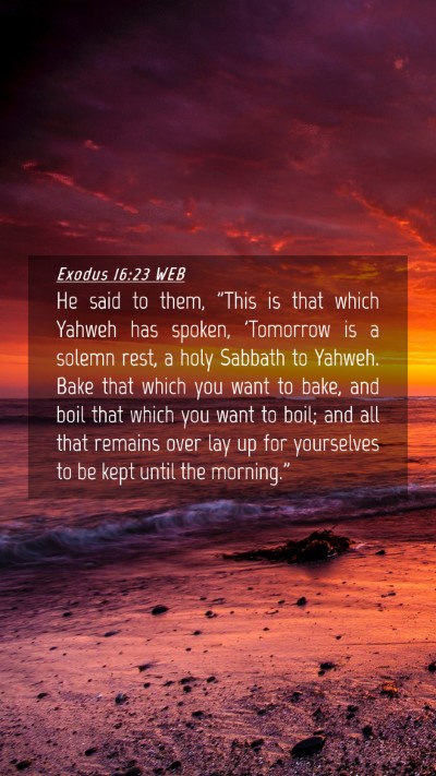 Picture 04 - Exodus 16:23 WEB Mobile Phone Wallpaper - He said to them, 