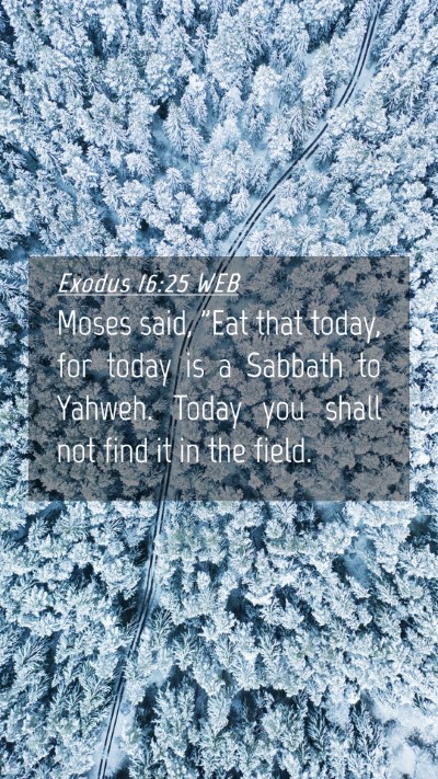 Picture 04 - Exodus 16:25 WEB Mobile Phone Wallpaper - Moses said, 