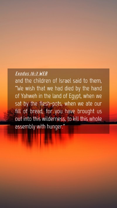 Picture 04 - Exodus 16:3 WEB Mobile Phone Wallpaper - and the children of Israel said to them, 