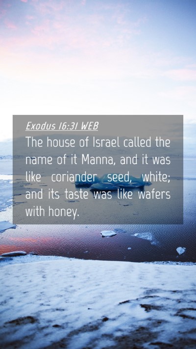 Picture 04 - Exodus 16:31 WEB Mobile Phone Wallpaper - The house of Israel called the name of it Manna, - Mobile Bible Verse Wallpaper