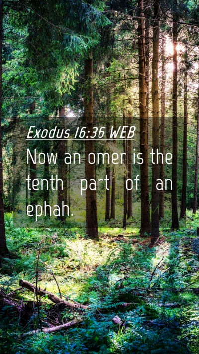 Picture 04 - Exodus 16:36 WEB Mobile Phone Wallpaper - Now an omer is the tenth part of an - Mobile Bible Verse Wallpaper