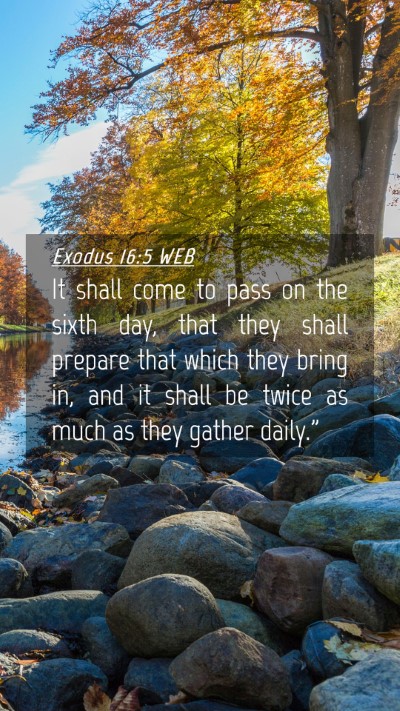 Picture 04 - Exodus 16:5 WEB Mobile Phone Wallpaper - It shall come to pass on the sixth day, that they - Mobile Bible Verse Wallpaper