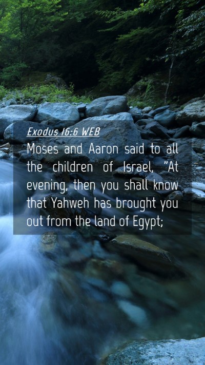 Picture 04 - Exodus 16:6 WEB Mobile Phone Wallpaper - Moses and Aaron said to all the children of - Mobile Bible Verse Wallpaper