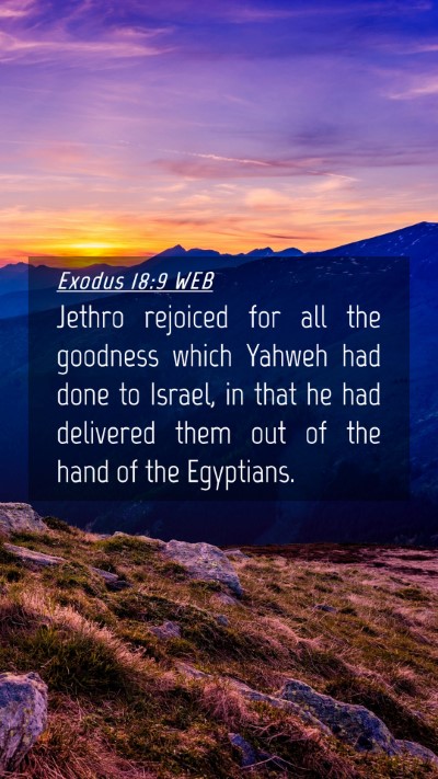 Picture 04 - Exodus 18:9 WEB Mobile Phone Wallpaper - Jethro rejoiced for all the goodness which Yahweh - Mobile Bible Verse Wallpaper