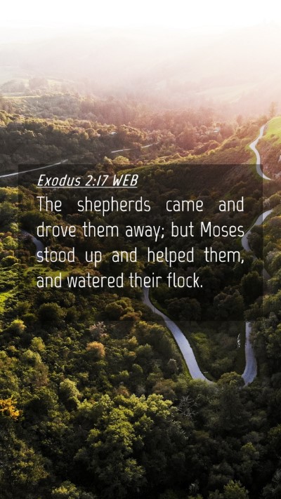 Picture 04 - Exodus 2:17 WEB Mobile Phone Wallpaper - The shepherds came and drove them away; but Moses - Mobile Bible Verse Wallpaper