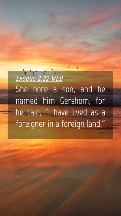 Picture 04 - Exodus 2:22 WEB Mobile Phone Wallpaper - She bore a son, and he named him Gershom, for he - Mobile Bible Verse Wallpaper