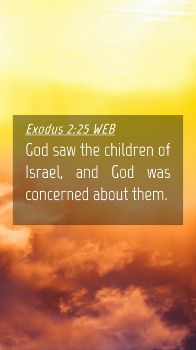Picture 04 - Exodus 2:25 WEB Mobile Phone Wallpaper - God saw the children of Israel, and God was - Mobile Bible Verse Wallpaper