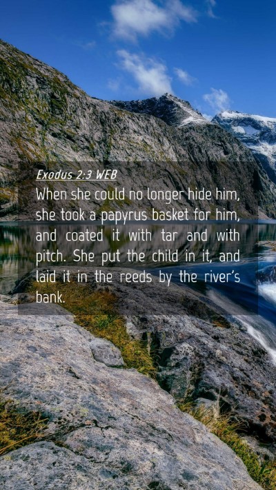 Picture 04 - Exodus 2:3 WEB Mobile Phone Wallpaper - When she could no longer hide him, she took a - Mobile Bible Verse Wallpaper