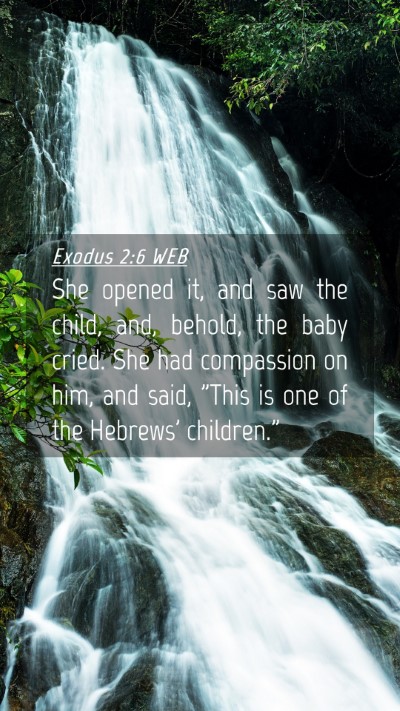 Picture 04 - Exodus 2:6 WEB Mobile Phone Wallpaper - She opened it, and saw the child, and, behold, - Mobile Bible Verse Wallpaper