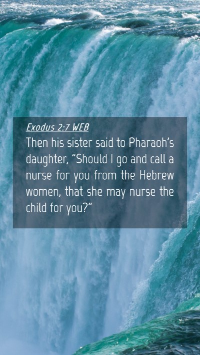 Picture 04 - Exodus 2:7 WEB Mobile Phone Wallpaper - Then his sister said to Pharaoh's daughter, - Mobile Bible Verse Wallpaper