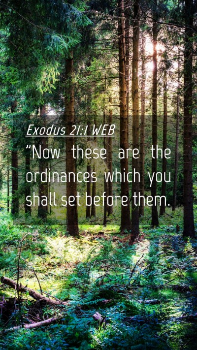 Picture 04 - Exodus 21:1 WEB Mobile Phone Wallpaper - 