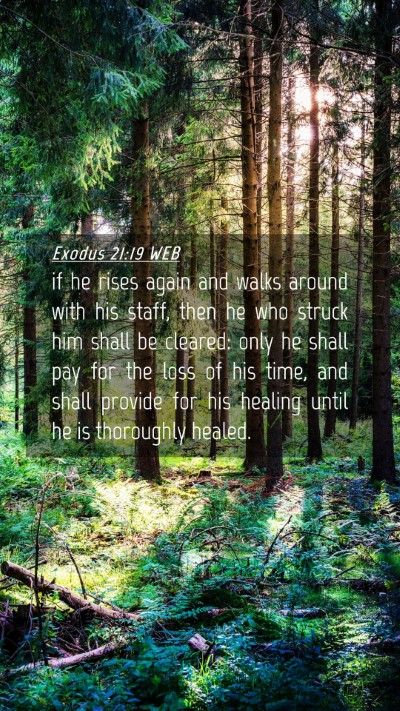 Picture 04 - Exodus 21:19 WEB Mobile Phone Wallpaper - if he rises again and walks around with his - Mobile Bible Verse Wallpaper