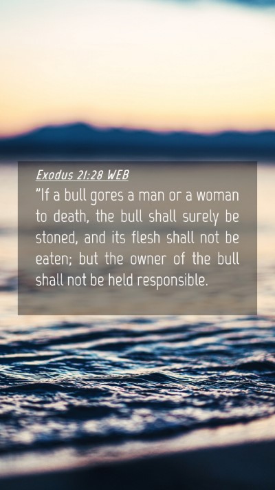 Picture 04 - Exodus 21:28 WEB Mobile Phone Wallpaper - 