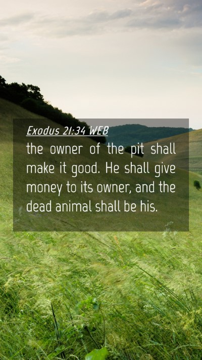 Picture 04 - Exodus 21:34 WEB Mobile Phone Wallpaper - the owner of the pit shall make it good. He shall - Mobile Bible Verse Wallpaper