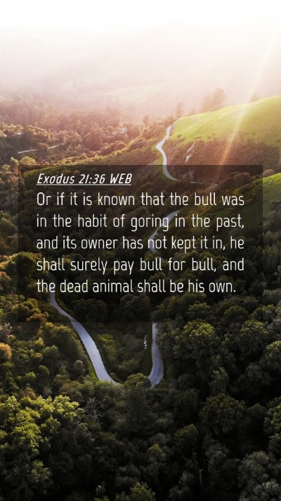 Picture 04 - Exodus 21:36 WEB Mobile Phone Wallpaper - Or if it is known that the bull was in the habit - Mobile Bible Verse Wallpaper