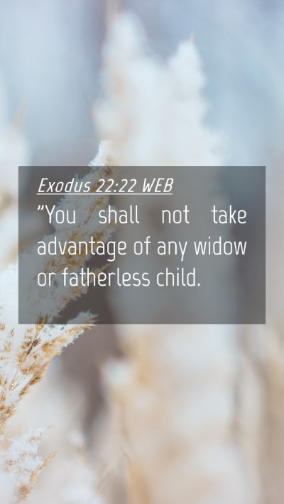 Picture 04 - Exodus 22:22 WEB Mobile Phone Wallpaper - 