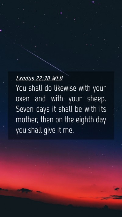 Picture 04 - Exodus 22:30 WEB Mobile Phone Wallpaper - You shall do likewise with your oxen and with - Mobile Bible Verse Wallpaper