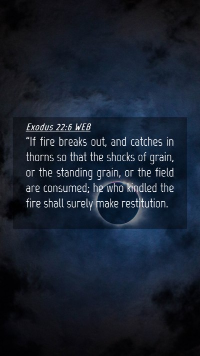 Picture 04 - Exodus 22:6 WEB Mobile Phone Wallpaper - 