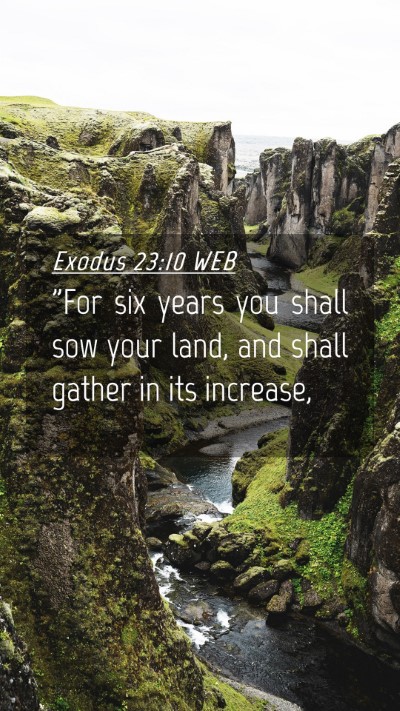 Picture 04 - Exodus 23:10 WEB Mobile Phone Wallpaper - 