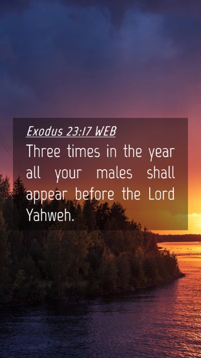 Picture 04 - Exodus 23:17 WEB Mobile Phone Wallpaper - Three times in the year all your males shall - Mobile Bible Verse Wallpaper