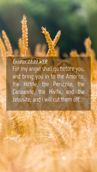 Picture 04 - Exodus 23:23 WEB Mobile Phone Wallpaper - For my angel shall go before you, and bring you - Mobile Bible Verse Wallpaper