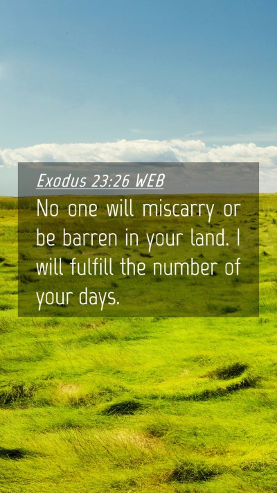Picture 04 - Exodus 23:26 WEB Mobile Phone Wallpaper - No one will miscarry or be barren in your land. I - Mobile Bible Verse Wallpaper