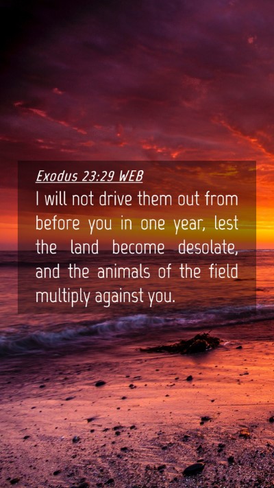 Picture 04 - Exodus 23:29 WEB Mobile Phone Wallpaper - I will not drive them out from before you in one - Mobile Bible Verse Wallpaper