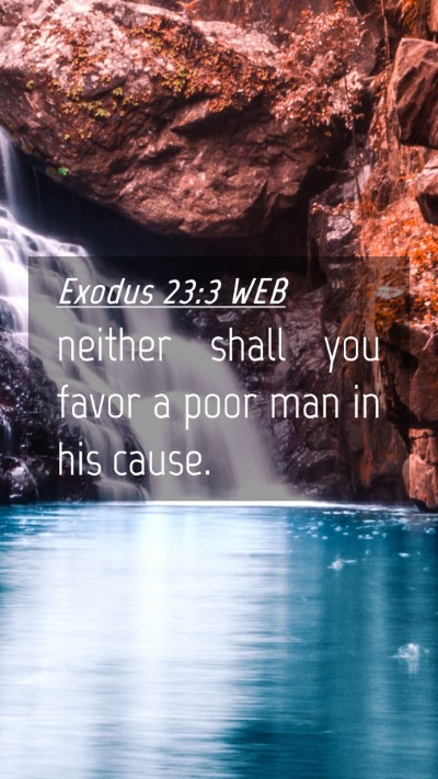 Picture 04 - Exodus 23:3 WEB Mobile Phone Wallpaper - neither shall you favor a poor man in his - Mobile Bible Verse Wallpaper