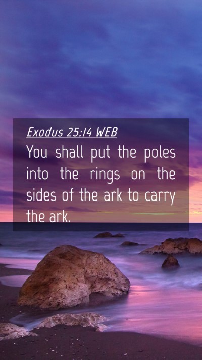 Picture 04 - Exodus 25:14 WEB Mobile Phone Wallpaper - You shall put the poles into the rings on the - Mobile Bible Verse Wallpaper