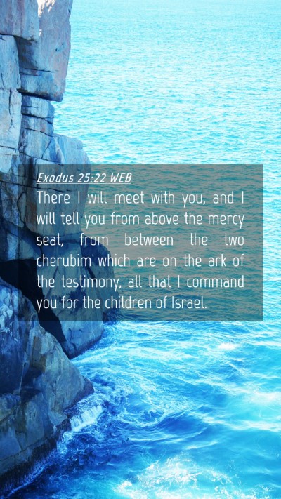 Picture 04 - Exodus 25:22 WEB Mobile Phone Wallpaper - There I will meet with you, and I will tell you - Mobile Bible Verse Wallpaper