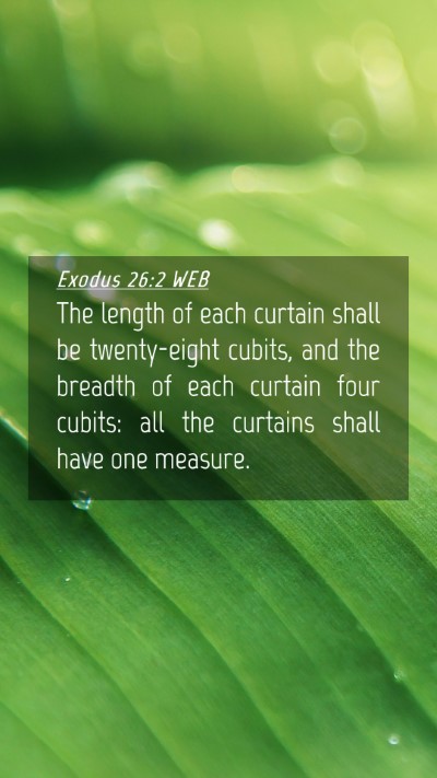 Picture 04 - Exodus 26:2 WEB Mobile Phone Wallpaper - The length of each curtain shall be twenty-eight - Mobile Bible Verse Wallpaper