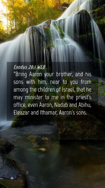 Picture 04 - Exodus 28:1 WEB Mobile Phone Wallpaper - 