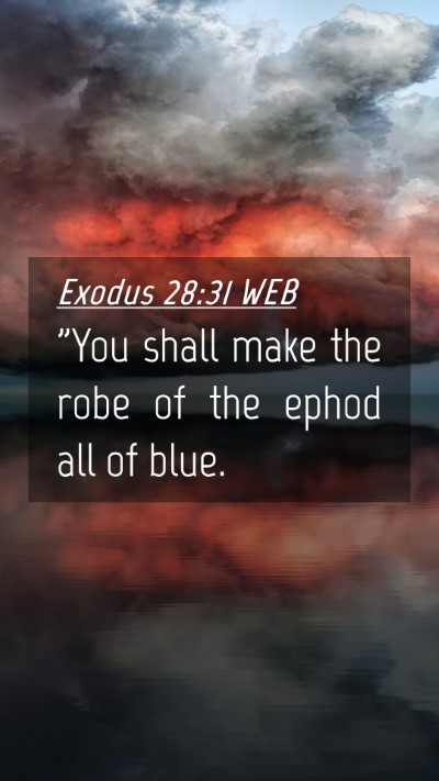 Picture 04 - Exodus 28:31 WEB Mobile Phone Wallpaper - 