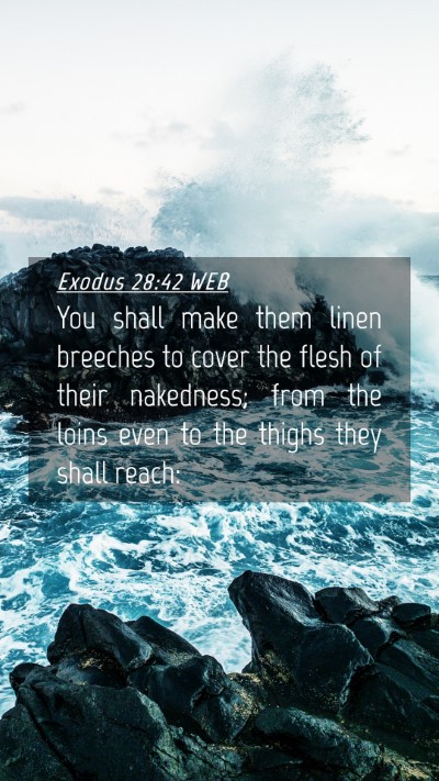 Picture 04 - Exodus 28:42 WEB Mobile Phone Wallpaper - You shall make them linen breeches to cover the - Mobile Bible Verse Wallpaper