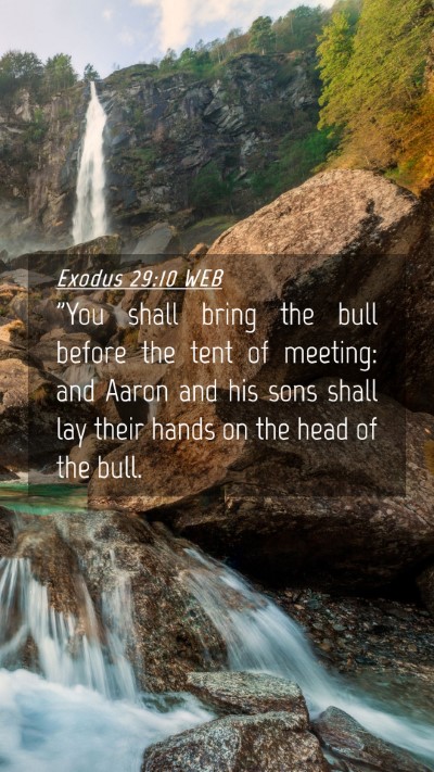 Picture 04 - Exodus 29:10 WEB Mobile Phone Wallpaper - 