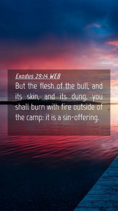 Picture 04 - Exodus 29:14 WEB Mobile Phone Wallpaper - But the flesh of the bull, and its skin, and its - Mobile Bible Verse Wallpaper