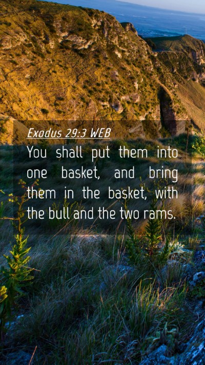 Picture 04 - Exodus 29:3 WEB Mobile Phone Wallpaper - You shall put them into one basket, and bring - Mobile Bible Verse Wallpaper