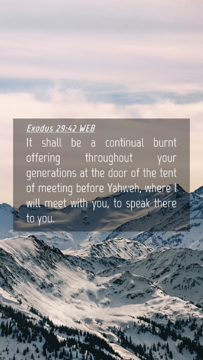 Picture 04 - Exodus 29:42 WEB Mobile Phone Wallpaper - It shall be a continual burnt offering throughout - Mobile Bible Verse Wallpaper