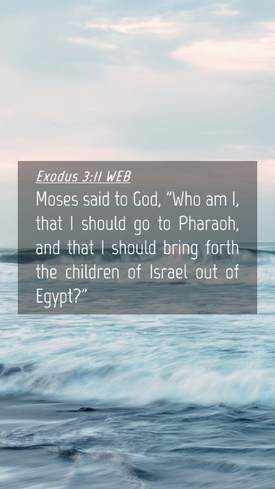 Picture 04 - Exodus 3:11 WEB Mobile Phone Wallpaper - Moses said to God, 