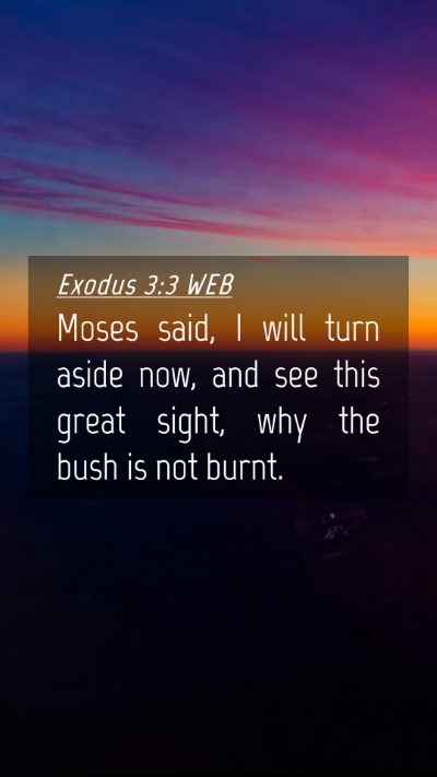 Picture 04 - Exodus 3:3 WEB Mobile Phone Wallpaper - Moses said, I will turn aside now, and see this - Mobile Bible Verse Wallpaper