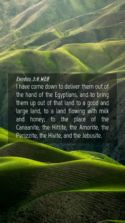 Picture 04 - Exodus 3:8 WEB Mobile Phone Wallpaper - I have come down to deliver them out of the hand - Mobile Bible Verse Wallpaper