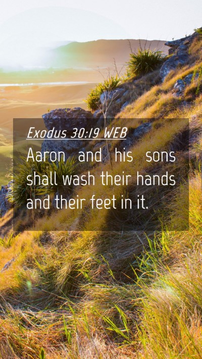 Picture 04 - Exodus 30:19 WEB Mobile Phone Wallpaper - Aaron and his sons shall wash their hands and - Mobile Bible Verse Wallpaper