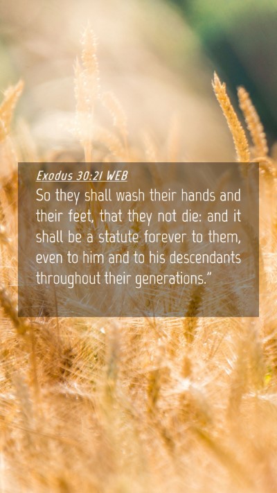 Picture 04 - Exodus 30:21 WEB Mobile Phone Wallpaper - So they shall wash their hands and their feet, - Mobile Bible Verse Wallpaper