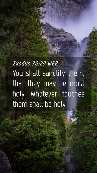 Picture 04 - Exodus 30:29 WEB Mobile Phone Wallpaper - You shall sanctify them, that they may be most - Mobile Bible Verse Wallpaper