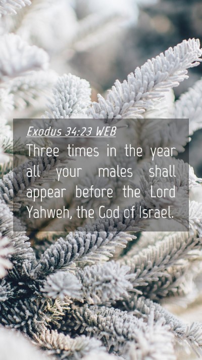 Picture 04 - Exodus 34:23 WEB Mobile Phone Wallpaper - Three times in the year all your males shall - Mobile Bible Verse Wallpaper