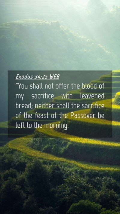 Picture 04 - Exodus 34:25 WEB Mobile Phone Wallpaper - 