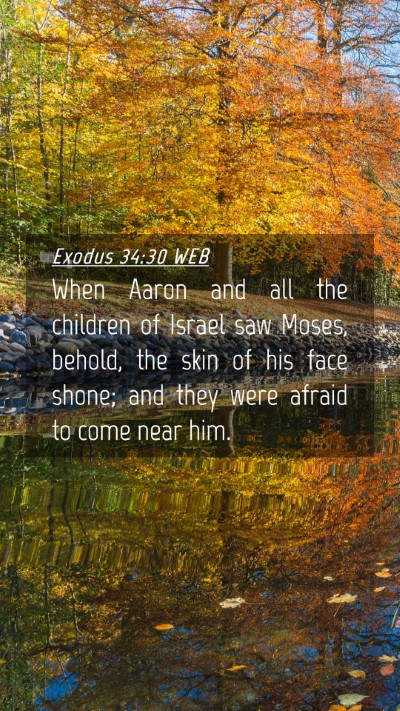 Picture 04 - Exodus 34:30 WEB Mobile Phone Wallpaper - When Aaron and all the children of Israel saw - Mobile Bible Verse Wallpaper